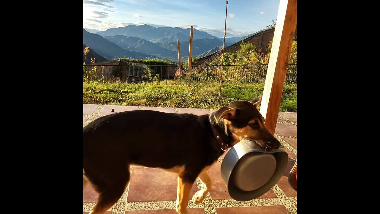 Food in Vilcabamba, Ecuador part 3