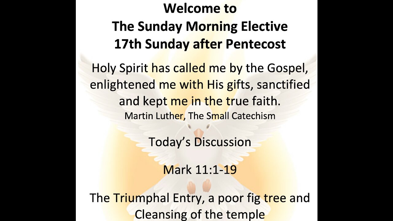 21-09-19 Sunday Elective Discussion of Mark 11: 1 - 19