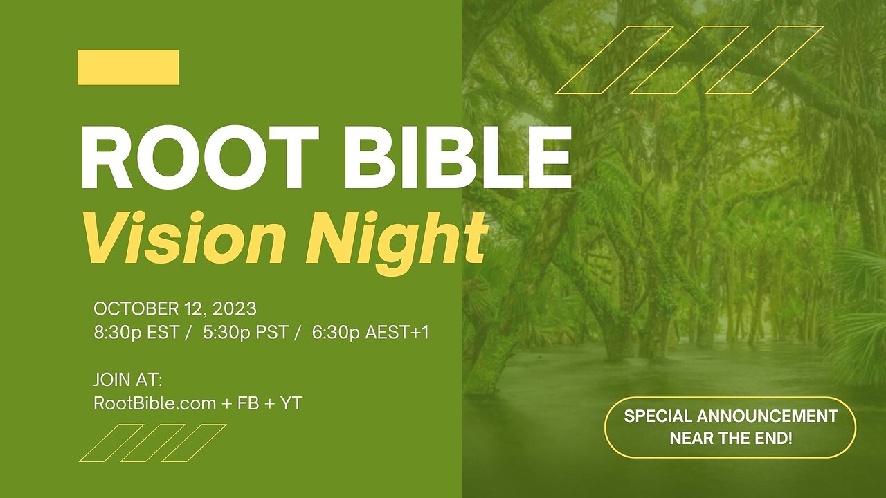 Root Vision Night 2023