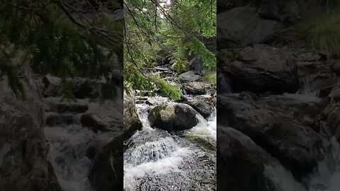 Whispers of Nature: Flowing Stream 🌳🍃 - #Shorts #YouTubeShorts #NatureSounds