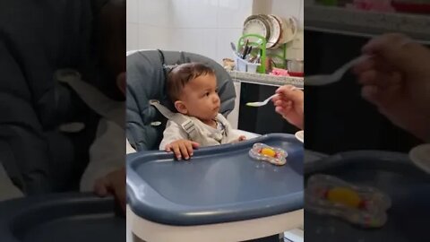 DUDU APRENDENDO A COMER RASPINHA DE MACA 20221111