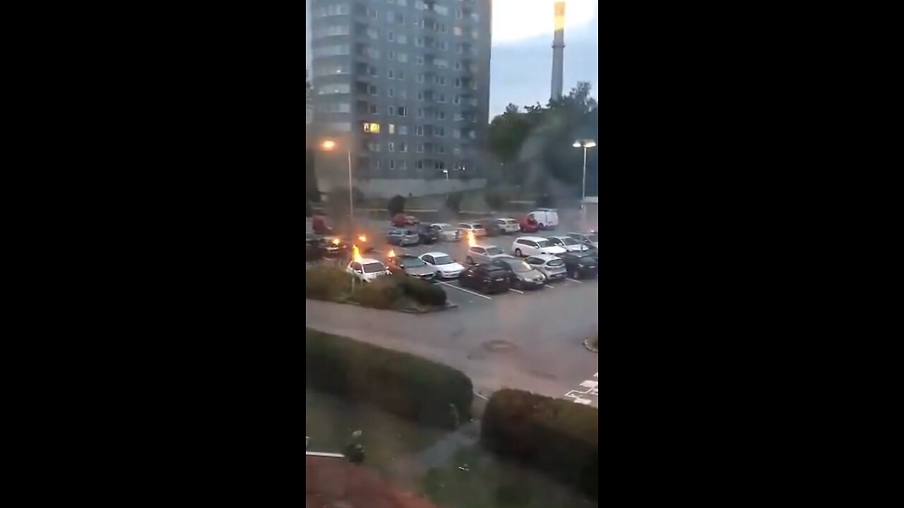 Illegal immigrant gang sets cars on fire in Sweden