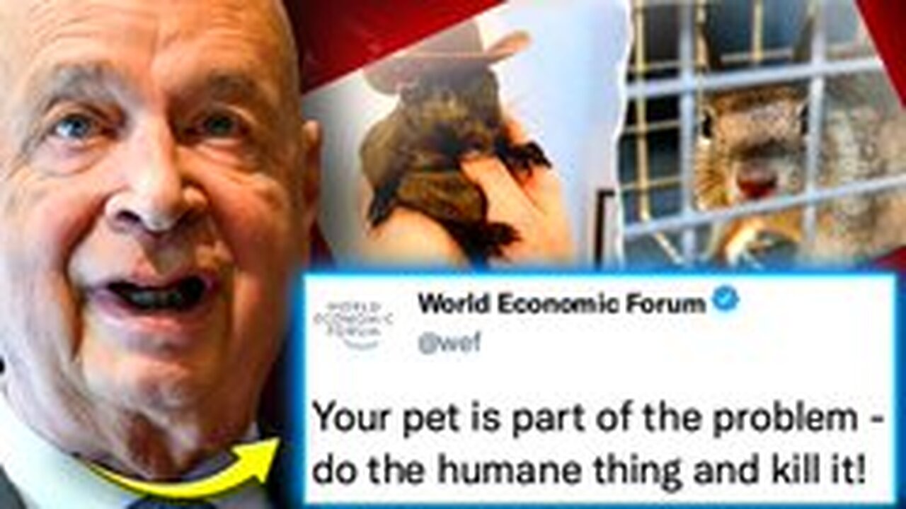 🚨 WEF Orders Slaughter of Pets Owned by Citizens With Low Social Credit Scores