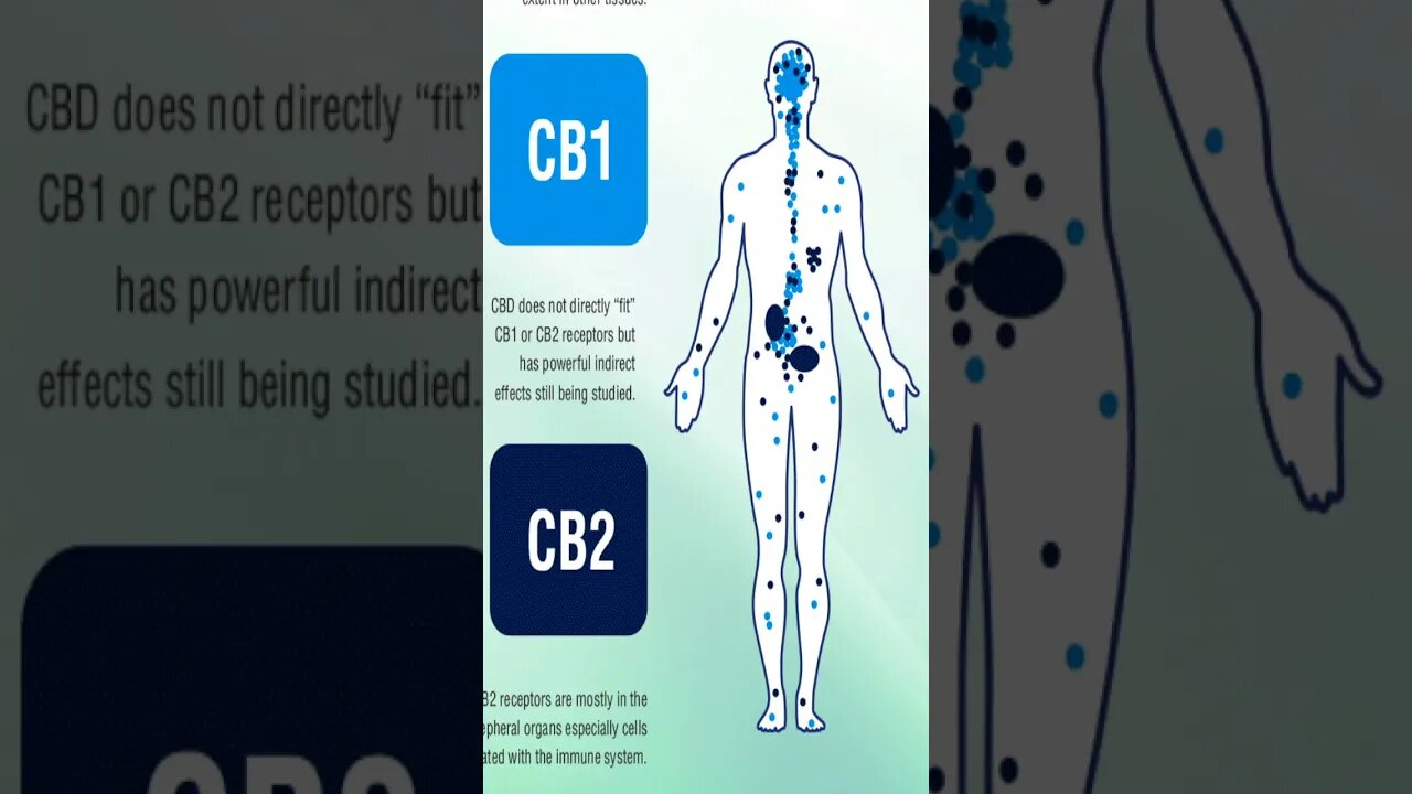 PAIN PERCEPTION and CANNABIS