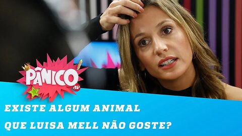 Existe algum animal que Luisa Mell não goste? Ela responde!