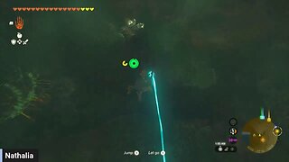 Zelda TOTK trying to defeat "mothra"