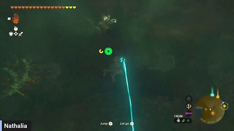 Zelda TOTK trying to defeat "mothra"