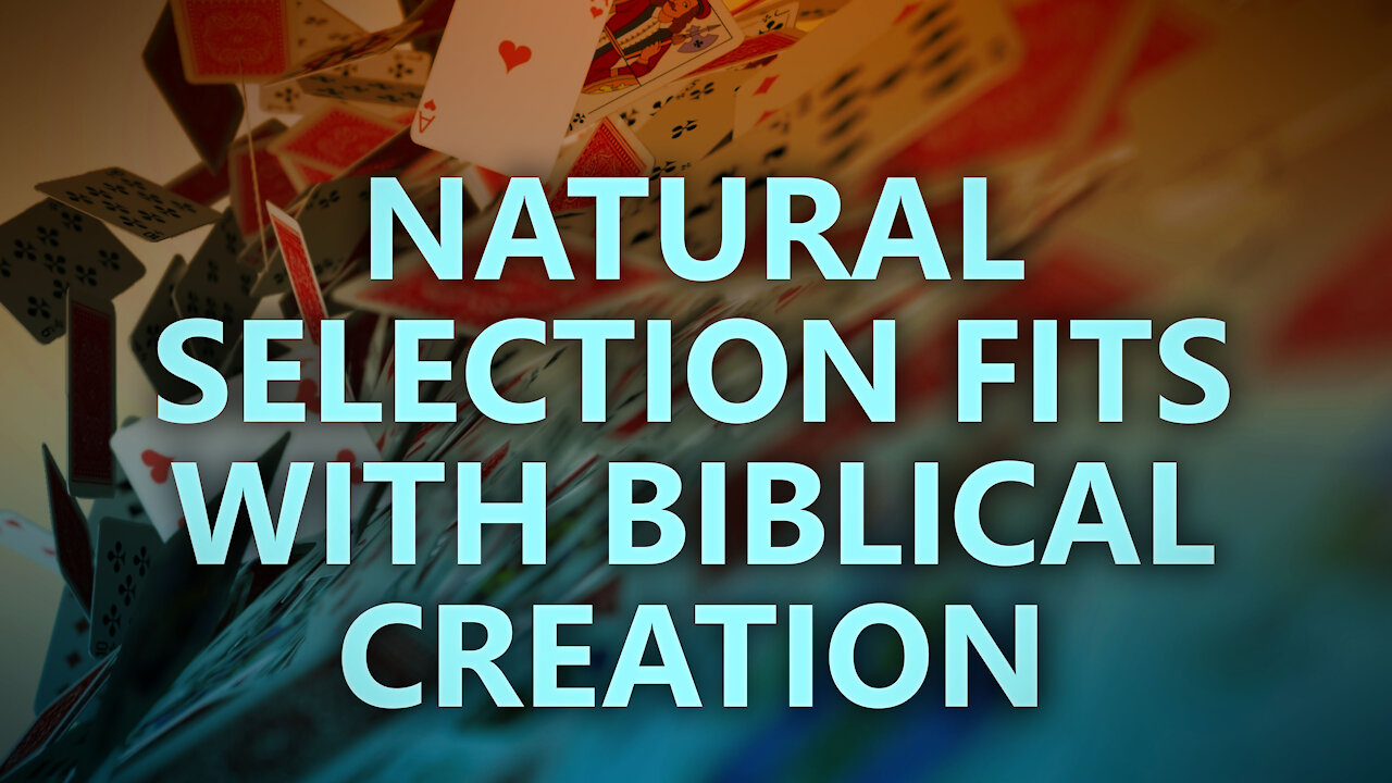 Natural Selection Fits with Biblical Creation