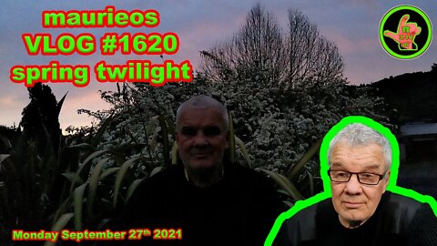 maurieos VLOG #1620 spring twilight