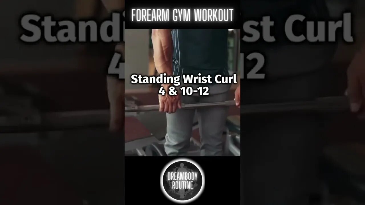 Forearm Gym Workout ! 🔥