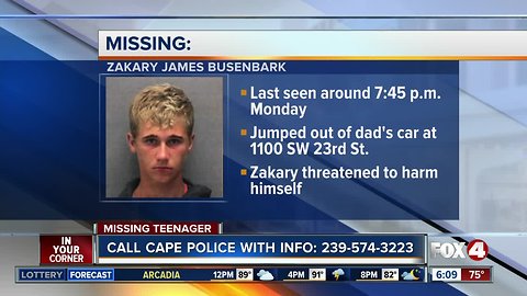 Police: Cape Coral teen jumped out of car