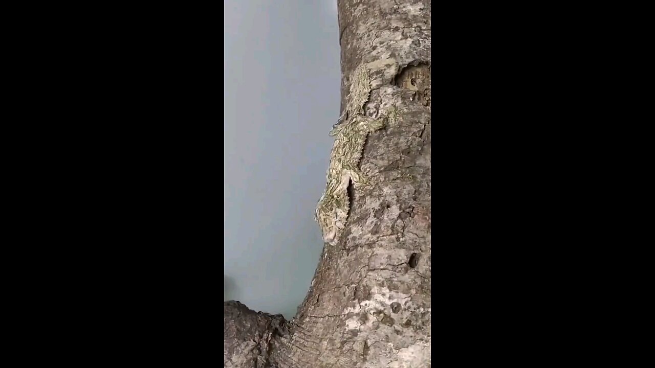 Bet ..you have not seen this