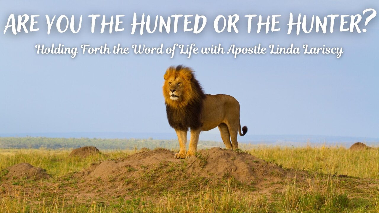 Are You the Hunted or the Hunter?