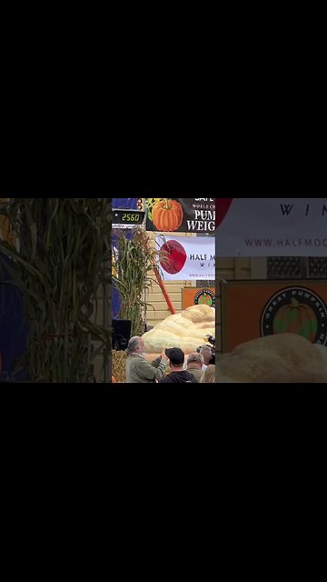 Big Cash Pumpkins #bubba #contest #cash