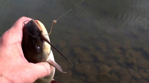 Fishing in a Private Lake in Kansas