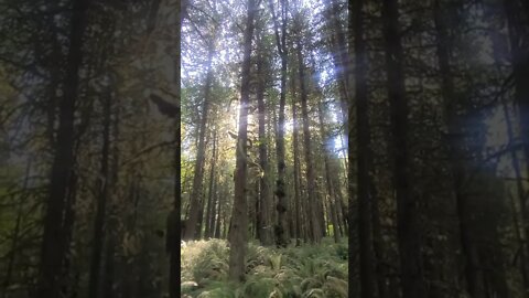 Solaris Heavenly light in the Sacred Portal of Pachamama