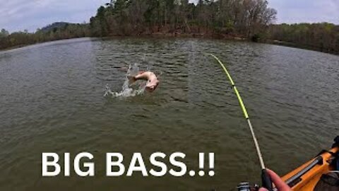 Huge Largemouth Bass, And Jumbo Crappie, On A Paddle Tail.