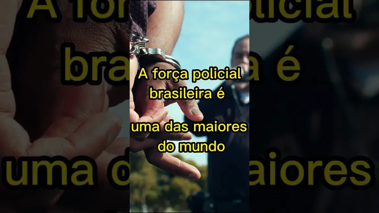 POLÍCIA NO BRASIL UMA DOS MAIORES EFETIVOS DO MUNDO