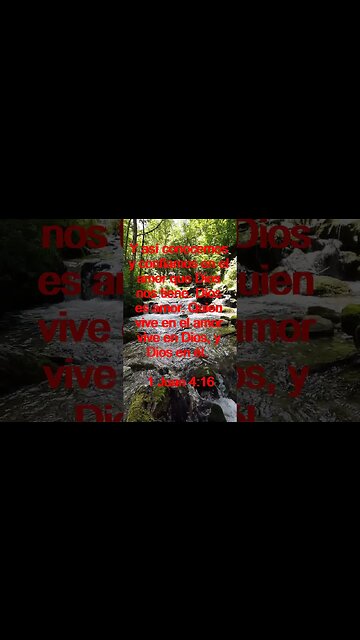 Verso Del Día | Lectura Inspiradora Para Empezar El Día. | 34