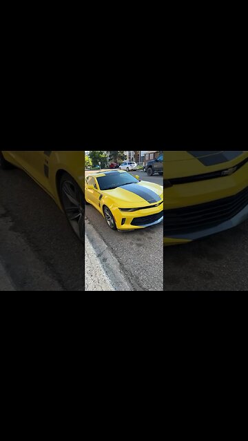 Omg it’s bumblebee!