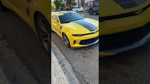 Omg it’s bumblebee!