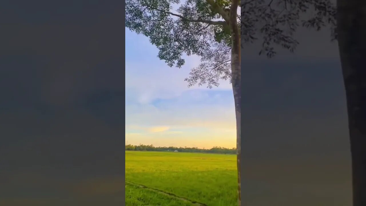 Great View