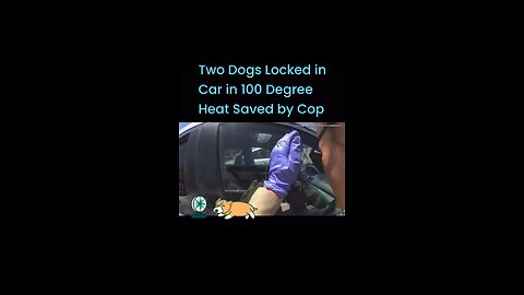 Two Dogs Locked in Car in 100 Degree Heat Saved by Cop #lioneyenews #BreakingNews #news