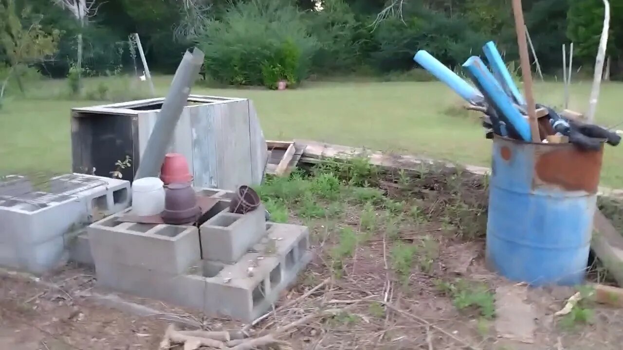Homestead update. Prepping 2022