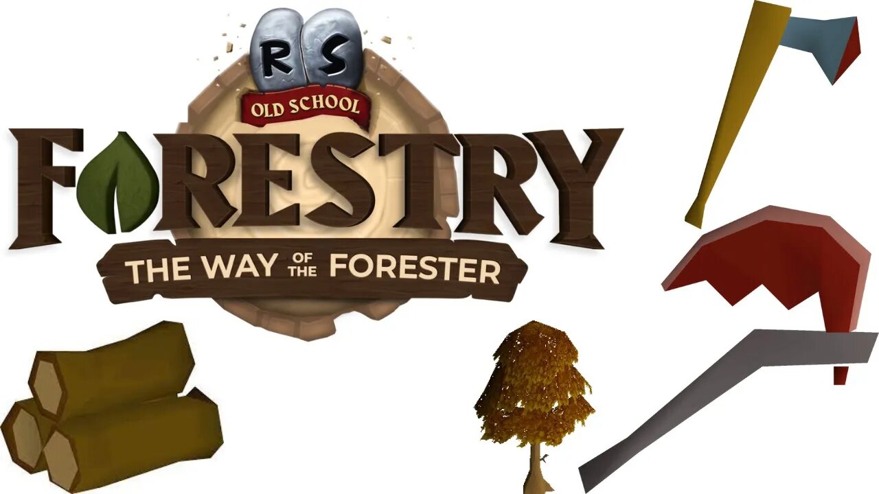 I Love Forestry! Forestry Day 2