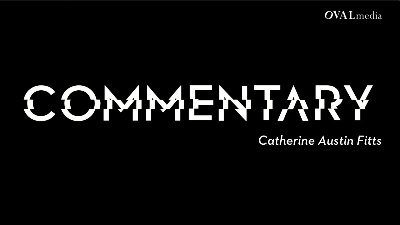 Was flüstern die Geldflüsse? Catherine Austin Fitts | COMMENTARY #19