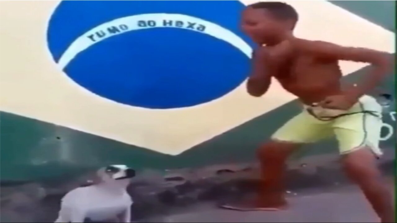 Great dog dancing in Rio