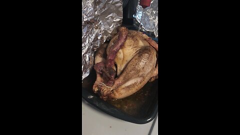 our Christmas turkey