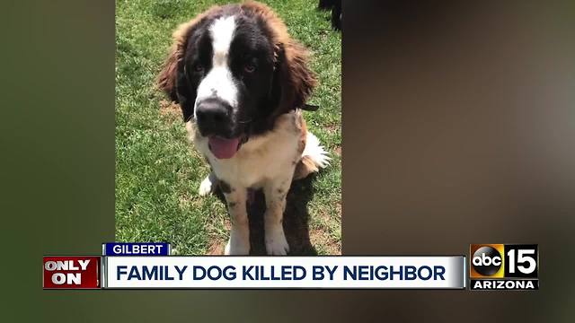 Gilbert family raising questions after puppy is shot and killed