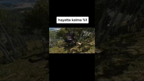 planted on a tree / BeamNG DRIVE
