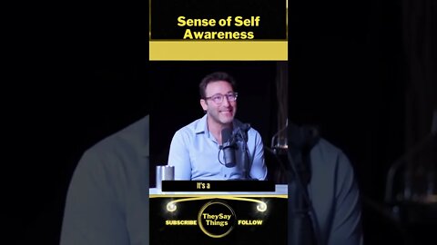 Simon Sinek, Sense of Self Awareness