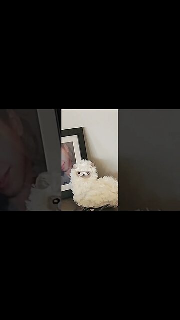 Peek behind the curtain #saturdayvibes #bts #workinprogress