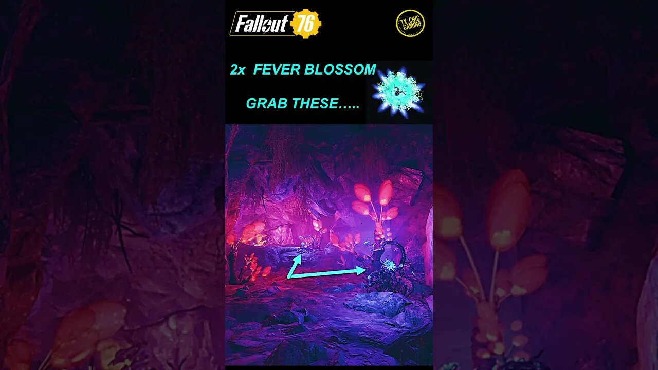 Fallout 76 Valentine's Floral Bouquet - Materials Locations