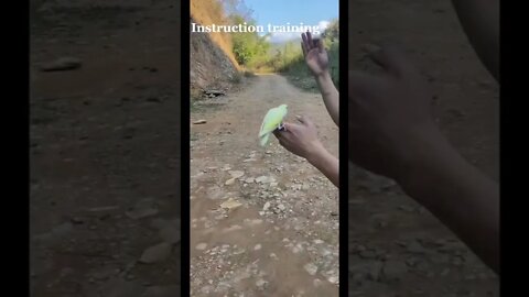 Amazing Instruction Training 🔥#shorts #viral #short