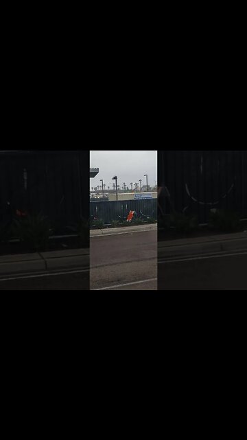 Happy Airport Construction in San Diego