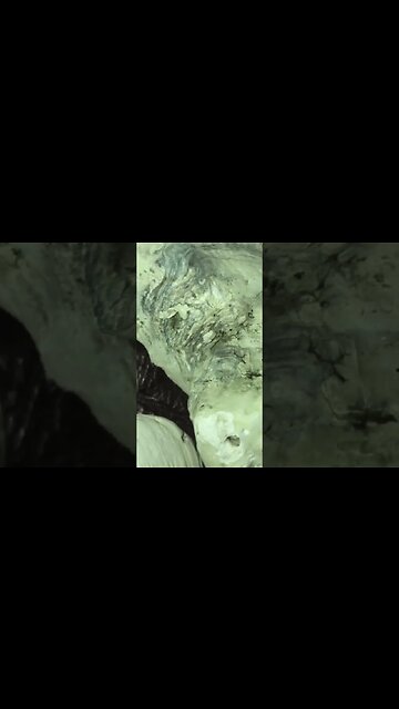 Wrightsville Beach Shells North Carolina