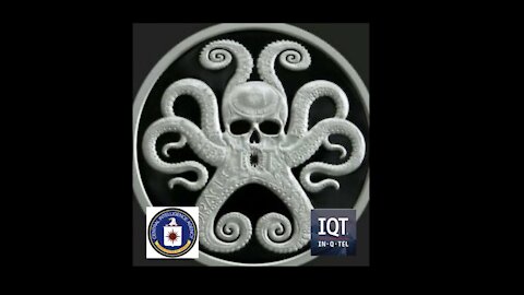 LIN WOOD mentioned CIA's In-Q-Tel & Google? “this and more...”