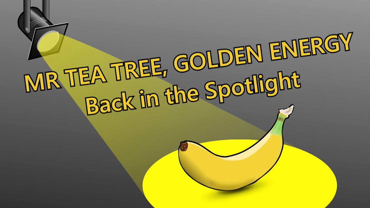 Donald Trump - Golden Energy - Back in the Spotlight