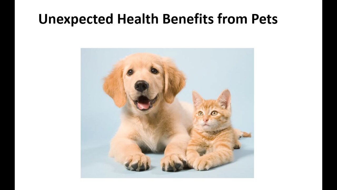 The Health Benefits of Pets on your Immune System & Microbiome
