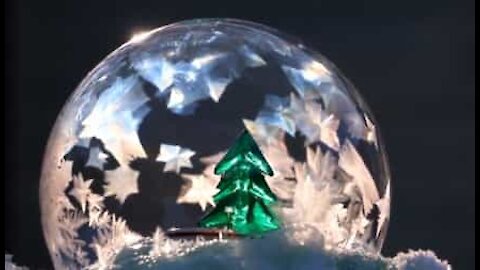 Boule à neige naturelle complétée par un sapin de Noël