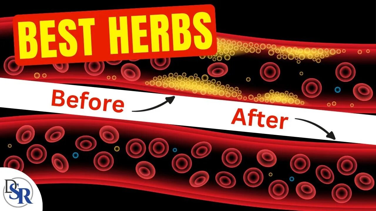 𝗜𝗺𝗽𝗿𝗼𝘃𝗲 𝗕𝗹𝗼𝗼𝗱 𝗙𝗹𝗼𝘄 𝗖𝗶𝗿𝗰𝘂𝗹𝗮𝘁𝗶𝗼𝗻 - 10 Proven Herbs