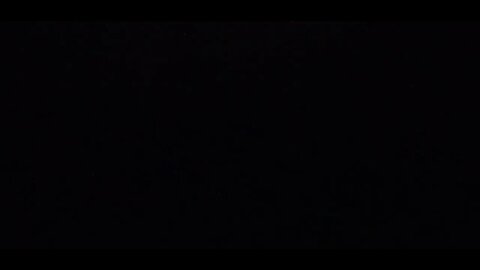 #dogshow , #animals , #dogs , #shorts