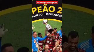 Flamengo é campeão!