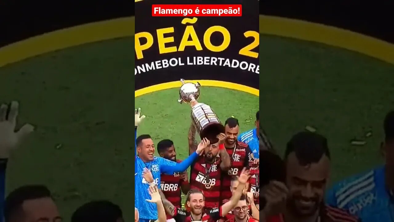 Flamengo é campeão!