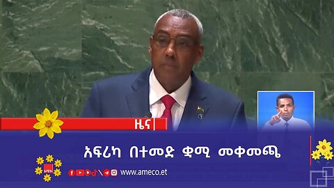 አፍሪካ በተመድ ቋሚ መቀመጫ