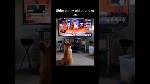 Funny best moments 😂#shorts #short #shortvideo #shortsvideo #fun #funny #youtubeshorts